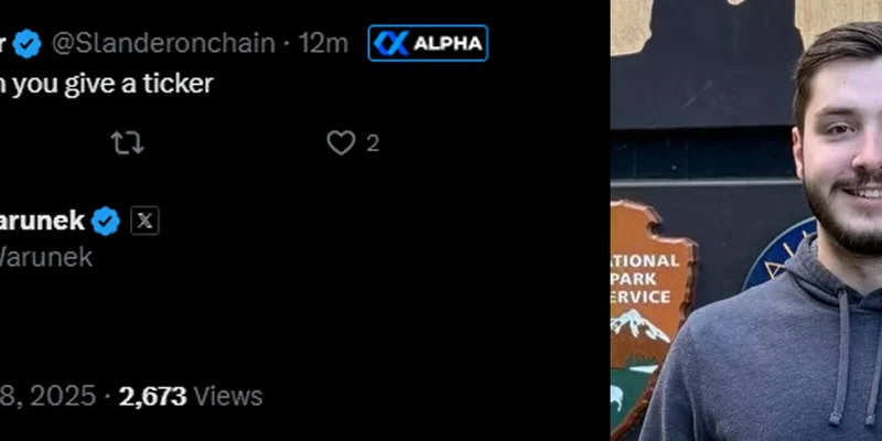 BALLZ Token on Solana: The Wolf Wif Meme Coin – Meme Insider
