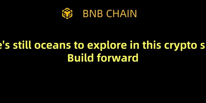BF Token on BNB Chain: Unpacking the Mystery, Risks, and Potential of this Meme Coin