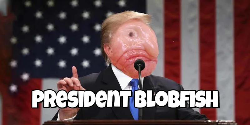 Blob Trump Token: Riding the Meme Coin Wave on Solana - A Beginner's Guide