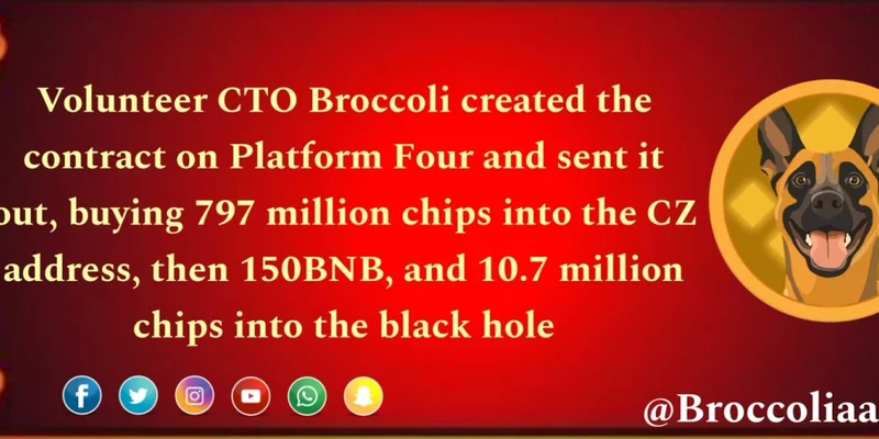 Broccoli Token: Is This BNB Chain Meme Coin the Next Big Thing?