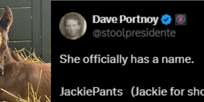 JackiePant: Solana's Latest Meme Coin Sensation or Risky Bet?