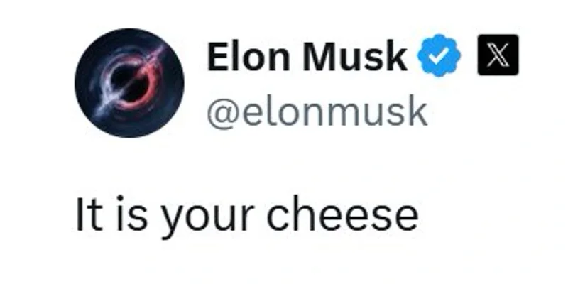 BNB 链上的 CHEESE 代币：这款以老鼠为主题的 Meme 币是否值得投资？