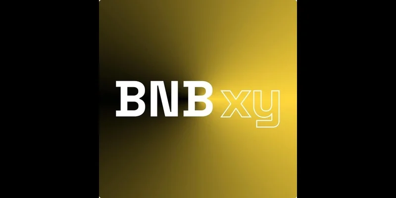 揭秘 bnbxy：探索 BNB 链上这款 Meme Token 的热度