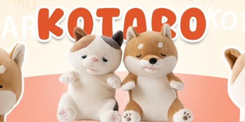 KOTARO 代币：Solana 上最新的 Meme 币现象？