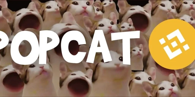 POPCAT 代币：解码 Solana 和 BNB Chain 上的 Meme 币狂热