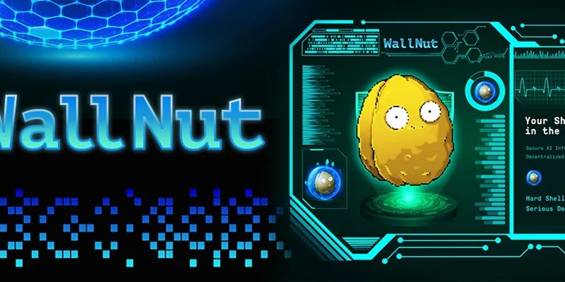 WalNut Token: Navigating the Solana Meme Coin Market - Price, Data, and Insights