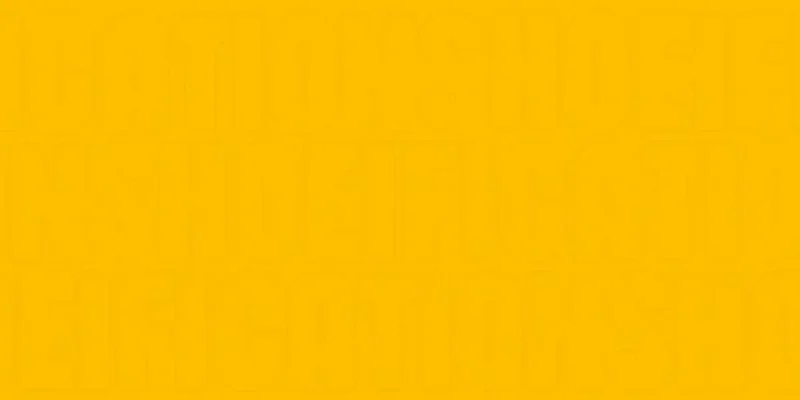 SHOE Token on BNB Chain: Kicks or Miss? Meme Insider's Deep Dive