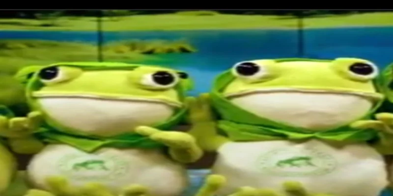 TSF Token on Solana: The Straight Frog or a Risky Meme?