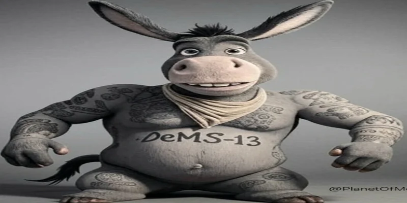 DeMS-13：Solana上的 Meme 浪潮——这是加密火箭燃料还是潜在的 Rug Pull？