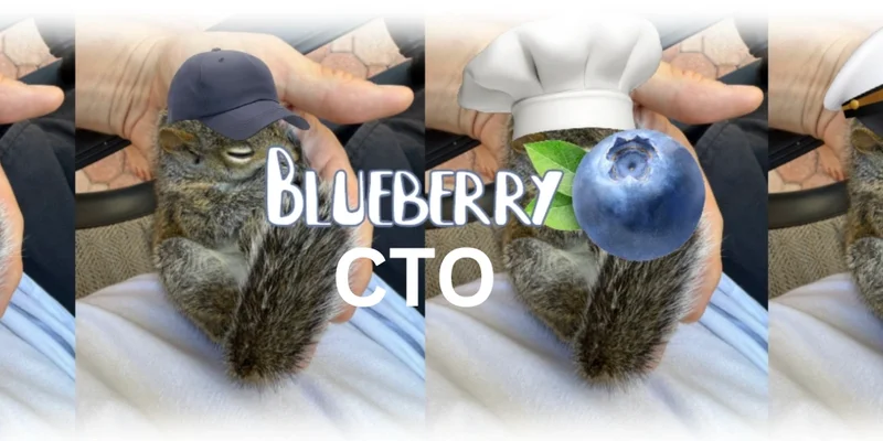 Solana上的Blueberry代币：解构最新的Meme币热潮