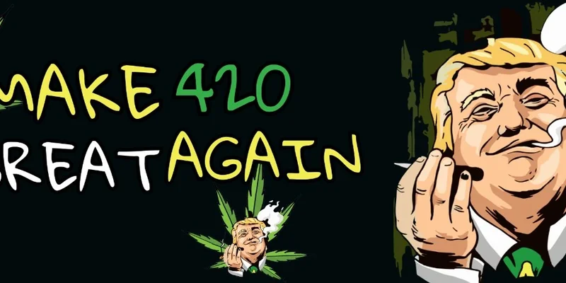M420GA：这款 Solana Meme 代币会是下一个爆款吗？Meme Insider 深度剖析