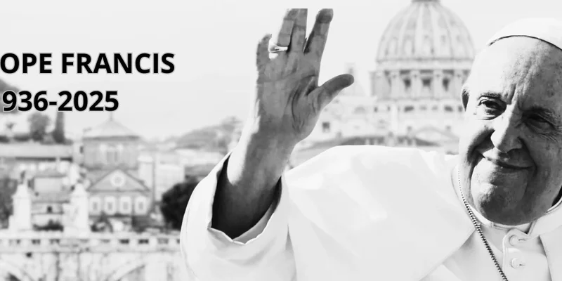 FRANCIS Token：在 Solana 上掀起的 Meme 浪潮？ | Meme Insider