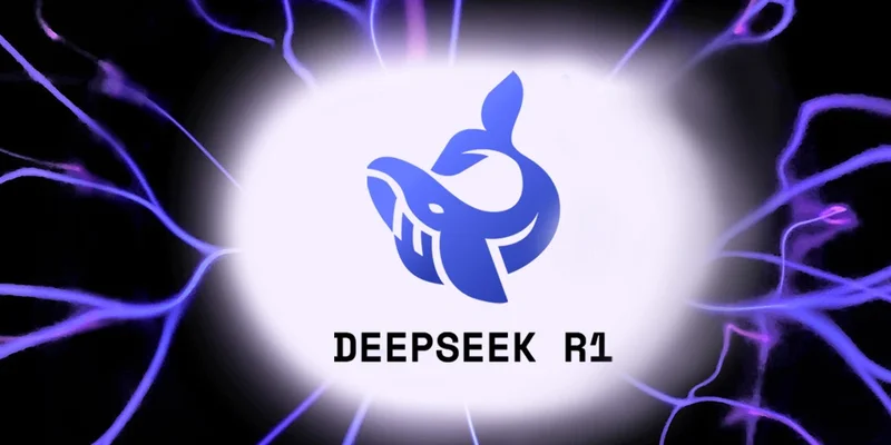 Solana上的 DSR! 是什么？深入了解这种波动剧烈的 Meme Token 热潮