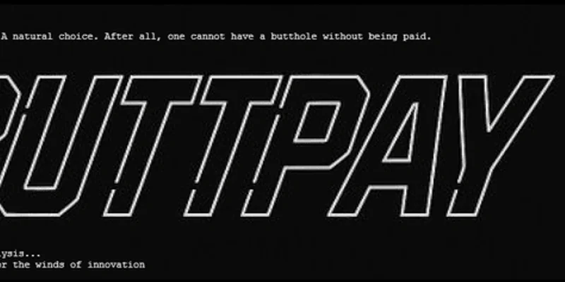 Solana 上的 BPAY Token：审查 Meme 币的合法性和风险