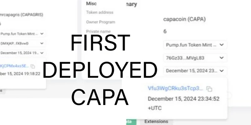 CAPAGRIS: DexScreener 및 Raydium에서 이 Solana 밈 토큰 가이드