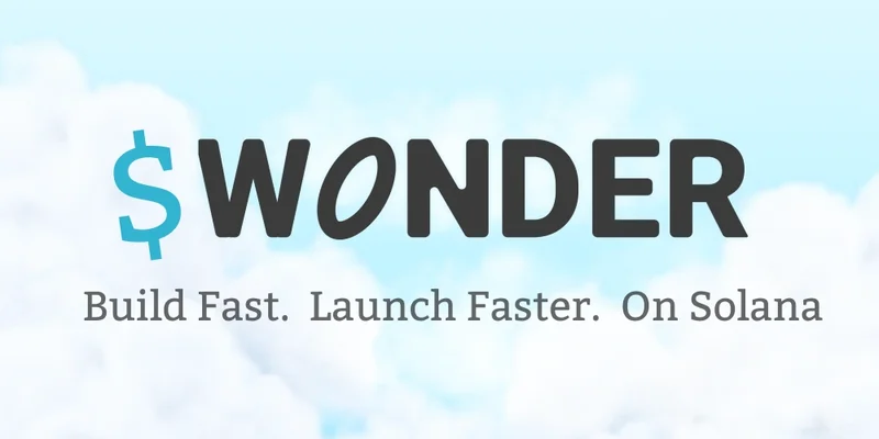 솔라나의 WONDER 토큰: 변동성이 큰 밈 코인 심층 분석