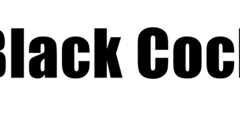 BLK Token on Solana: Navigating High-Risk Meme Coin Trading