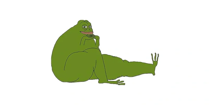 Solana 上的 Groyper ($GROYPER)：了解 Meme 币的背景、风险和市场表现