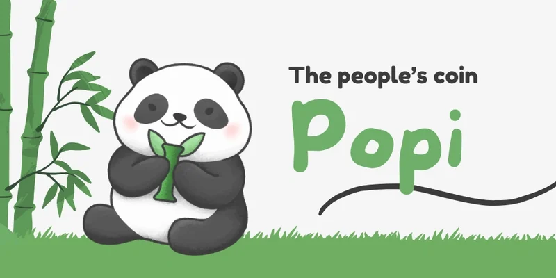 Solana 上的 POPI Token：微市值 Meme 代币风险深度解析