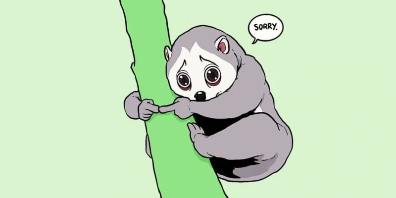 SRY Token on Solana: What to Know About This SORRY Meme Coin