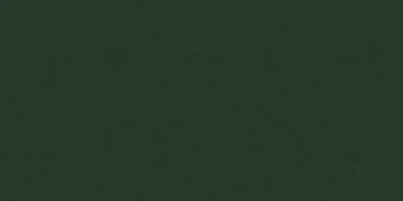 솔라나 기반 BRUHH 토큰: 솔라나 블록체인 밈 코인 가이드
