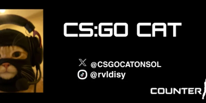 CSGOCat (DASF8e9sNYebMVEewt2nYnvkaFyrHz8yHkqeFRxYpump): SolanaのCS:GO猫ミームコインを徹底解説