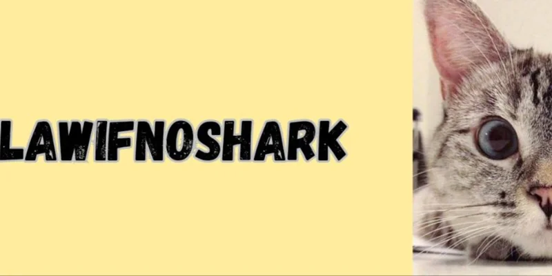 Solana上的NOSHARK代币：深入剖析Meme币领域