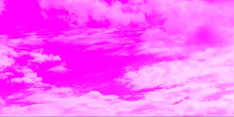 SolanaのQUAKトークン：Quak Wif Boiミームコインの詳細