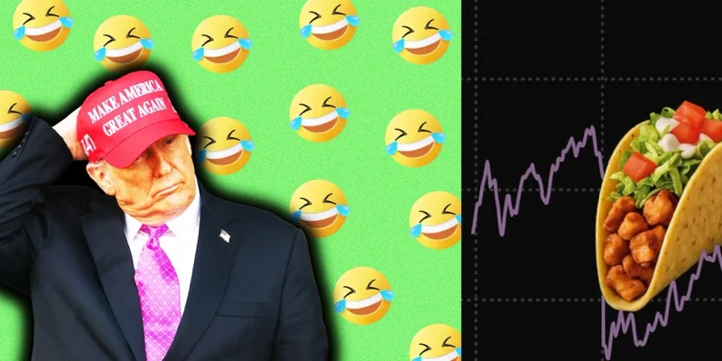 SolanaのTACOトークンを徹底解説: 「Trump Always Chickens Out」ミームコイン
