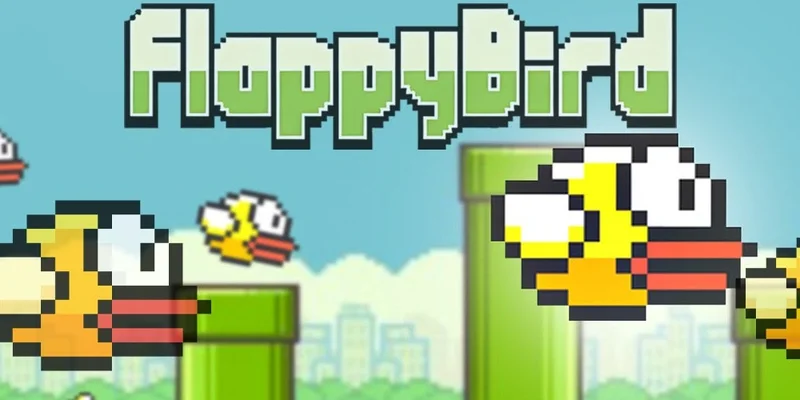 BNB 체인 상의 BIRD 토큰 (0xd165...4444)이란 무엇일까요? Birdchain에 대한 설명