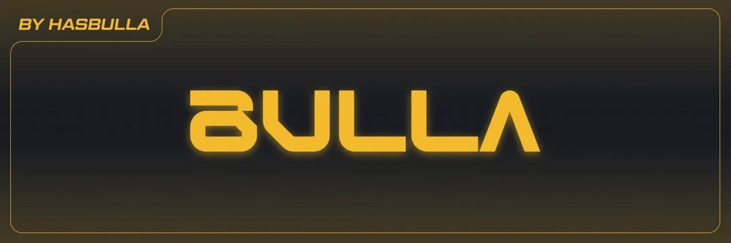 BULLA Meme Token: Riding Hasbulla's Fame on BNB Chain - Risks and Analysis
