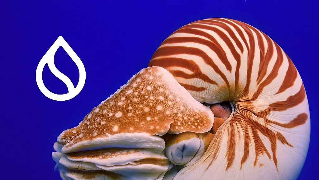 فهم Nautilus من SuiNetwork: إنجازٌ ثوري في أمان Web3