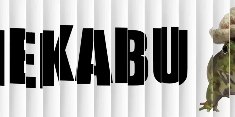 MEKABU: 솔라나 기반 고양이 모자 테마 메메코인 심층 분석
