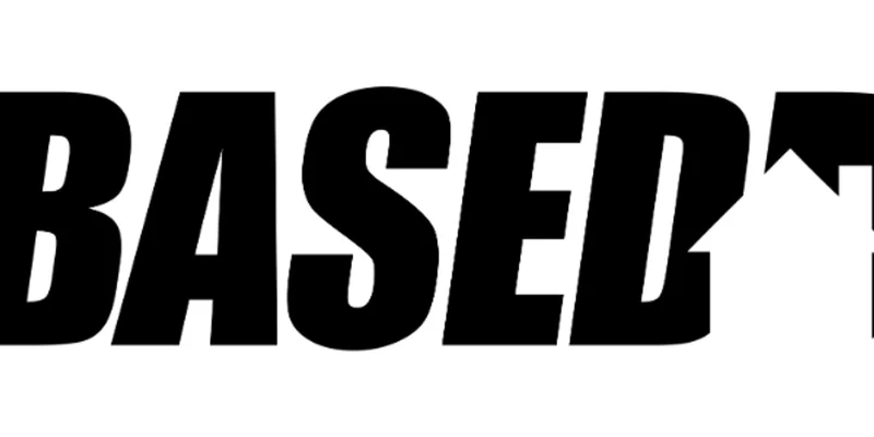 BASEDD 이해하기: 솔라나의 최신 밈 코인 현상 심층 분석