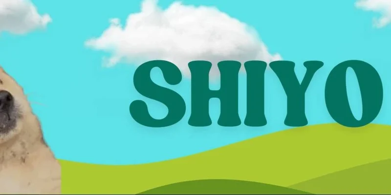 Shiyo Token:Solana最新爆款Meme币详解