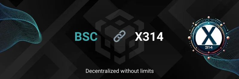 X314：通过点对点协议彻底革新 BNB 链上的交易
