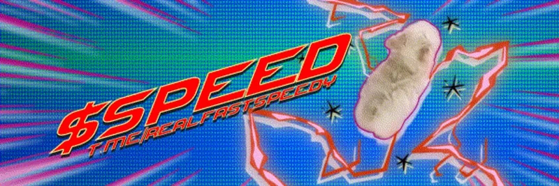 Unpacking 'real fast' (SPEED) on Solana: A Meme Coin with Gaming Aspirations