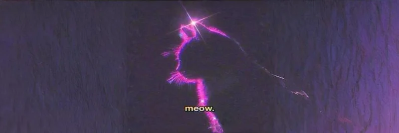 Meow. توكن على سولانا: الدليل الكامل لعملة الميم الشهيرة، الاقتصاد الرمزي، وتحليل السوق
