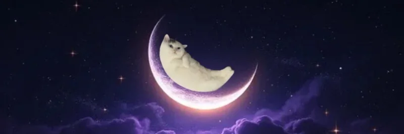 MOONCAT: رمز الميم على سولانا – نظرة عامة، المخاطر، وآراء المجتمع