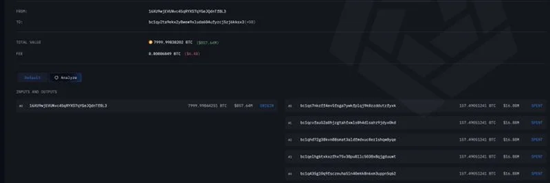 ホエールクリップ：Coinbaseコールドウォレットから8000BTC移動―仮想通貨に意味するものは？