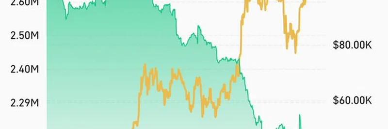中央集権型取引所のビットコイン残高減少：2025年に向けたセルフカストディへのシフト
