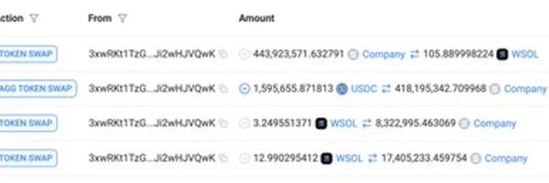 Unraveling the $1.6M Company Token Mystery: A Deep Dive into Blockchain Transactions