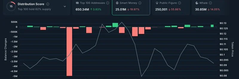 $TIBBIR 会是下一个值得关注的 Meme Coin 吗？揭秘聪明资金动向
