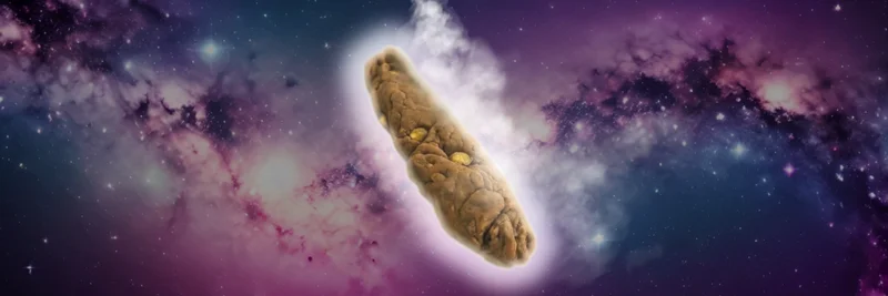 POOP Token on Solana: Meme Coin Utility, Community, and Risks Explained