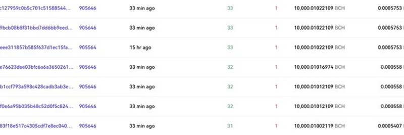 2011年比特币现金大户转移价值4000万美元BCH，引发市场猜测