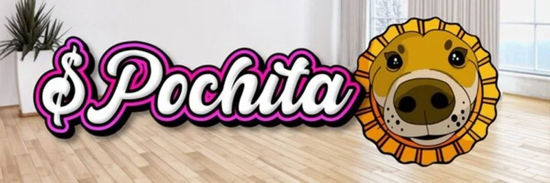 POCHITA Token on Solana: In-Depth Guide to the Popular Meme Coin