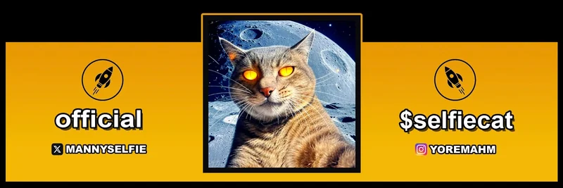 SelfieCat: The Solana Meme Token Taking Crypto Selfies to the Next Level