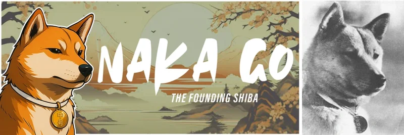 NAKA Token on Solana: Community-Driven Meme Token and Its Ecosystem Explained
