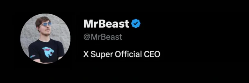 솔라나의 MrBeast 토큰: 과대광고, 위험성, 그리고 진실에 대해 알아야 할 점
