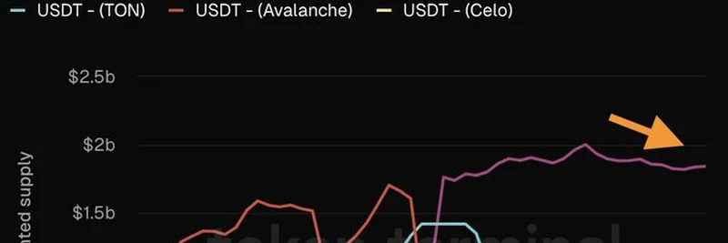 트론과 이더리움을 넘어: 2025년 USDT 최다 성장 레이어로 떠오르는 솔라나와 앱토스